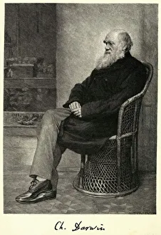 <b class=qtipBold><figcaption>Darwin/Basket Chair</figcaption></b><br>CHARLES DARWIN English naturalist sitting in a chair<br><em>© Mary Evans Picture Library 2015 - https://copyrighthub.org/s0/hub1/creation/maryevans/MaryEvansPictureID/10013734</em> Darwin/Basket Chair
