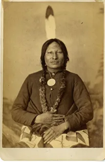 Medallion Gallery: David Frances Barry photo - Chief Rain in the Face