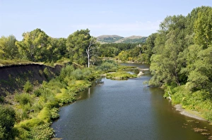 Deciduous forest in river Sakmara valley (a tributary Deciduous forest in river Sakmara valley (a tributary