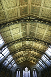 Decorative ceiling panels in the Natural History Museums Ce Decorative ceiling panels in the Natural History Museums Ce
