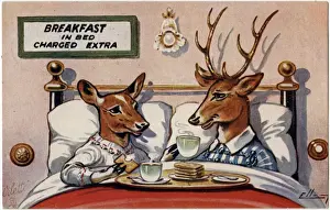 Two Deer Enjoy Breakfast in Bed Print, 1914