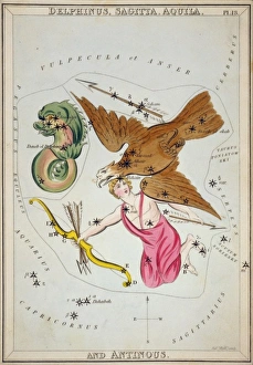 Delphinus, Sagitta, Aquila, and Antinous Delphinus, Sagitta, Aquila, and Antinous