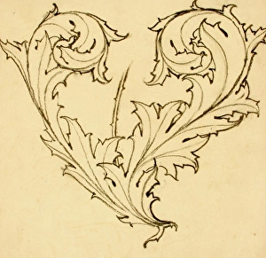 <b class=qtipBold><figcaption>Design with acanthus leaves</figcaption></b><br>Design with acanthus leaves. Charcoal on detail paper. Silver Studio. circa 1895<br><em>© MODA / Mary Evans Picture Library</em> Design with acanthus leaves
