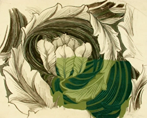 <b class=qtipBold><figcaption>Design with green leaves</figcaption></b><br>Design with green leaves. Conte, pastel and gouache on copy paper. Silver Studio. circa 1900<br><em>© MODA / Mary Evans Picture Library</em> Design with green leaves