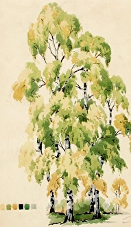 <b class=qtipBold><figcaption>Design with trees</figcaption></b><br>Design with trees. Watercolour on cartridge paper. Silver Studio. 1938<br><em>© MODA / Mary Evans Picture Library</em> Design with trees