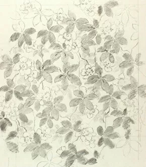 Charcoal Gallery: Design for wallpaper with leaves and flowers