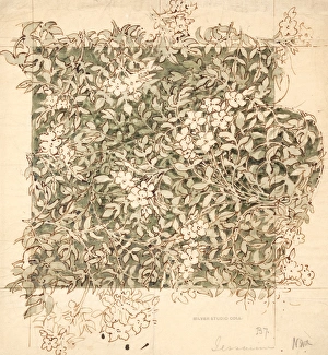 <b class=qtipBold><figcaption>Design with white flowers</figcaption></b><br>Design with white flowers. Ink and watercolour on tracing paper with ruled pencil lines. Silver Studio. circa 1890<br><em>© MODA / Mary Evans Picture Library</em> Design with white flowers