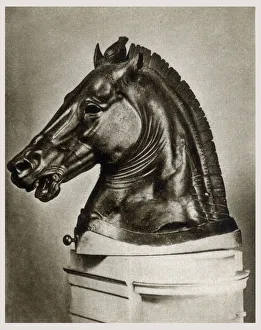 Detached head - Bronze Greek Equestrian sculpture - Florence Detached head - Bronze Greek Equestrian sculpture - Florence