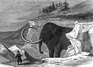 Creatures Gallery: Discovery of the Adams mammoth, 1799