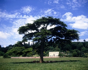 Distant view of Arlington Court, near Barnstaple, Devon Distant view of Arlington Court, near Barnstaple, Devon