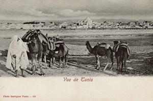Distant view of Tunis, Tunisia, North Africa Distant view of Tunis, Tunisia, North Africa