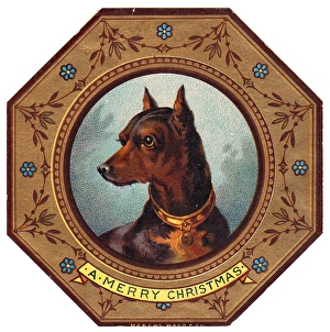 Doberman dog on plate design on a Christmas card Doberman dog on plate design on a Christmas card