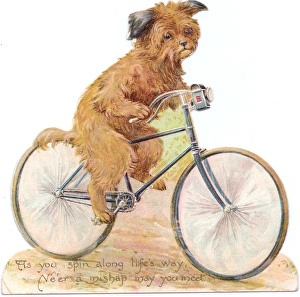 Dog on a bicycle on a cutout greetings card Dog on a bicycle on a cutout greetings card