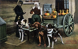 Dog-drawn Milk Cart - Brussels, Belgium Dog-drawn Milk Cart - Brussels, Belgium