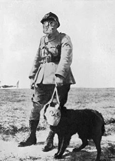 Dog and Handler wearing gas masks at the battle front Dog and Handler wearing gas masks at the battle front