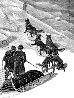 A Dog Sledge of the British Arctic Expedition, 1875-1876 A Dog Sledge of the British Arctic Expedition, 1875-1876