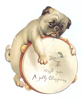 Dog with tambourine on a cutout Christmas card Dog with tambourine on a cutout Christmas card