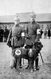 The Dog in War The Dog in War