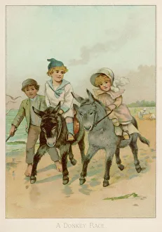 Donkeys Gallery: A Donkey Race