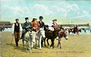 Donkeys Gallery: Donkeys on the Sands, Scarborough, Yorkshire
