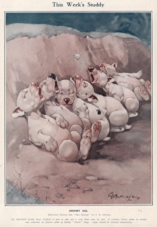 <b class=qtipBold><figcaption>Dormy Six by George Studdy</figcaption></b><br>Bonzo and his brethren choose a precarious place in the sun for their afternoon nap. Six little puppies, among them Bonzo, the comic canine creation of George Studdy, bask in a bunker on a golf course, blissfully unaware of the danger of passing golf balls. Credit line must read: Estate of George Studdy/Gresham Marketing Ltd./Mary Evan"<br><em>© Estate of George Studdy/Gresham Marketing Ltd./Mary Evans</em> Dormy Six by George Studdy
