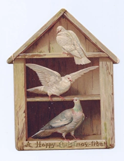 Two doves and a pigeon on a shaped Christmas card Two doves and a pigeon on a shaped Christmas card