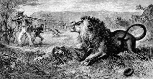 Mosi-oa-Tunya / Victoria Falls Gallery: Dr. David Livingstone attacked by a lion, 1843