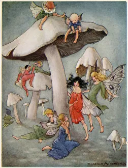 The Dream Pedlar - Where Mushrooms Grow The Dream Pedlar - Where Mushrooms Grow