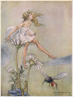 The Dream Pedlar - Sat on the Top of a Large Daisy The Dream Pedlar - Sat on the Top of a Large Daisy