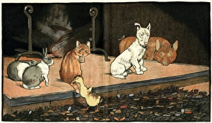 The duckling joins the other animals by the fire The duckling joins the other animals by the fire