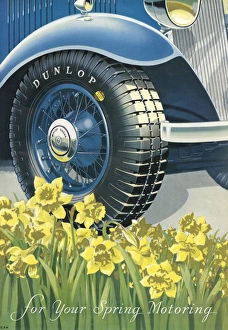<b class=qtipBold><figcaption>Dunlop Tyre Advert 1934</figcaption></b><br>Advertisement for Dunlop tyres: "for your Spring Motoring". 1934<br><em>© Illustrated London News Ltd/Mary Evans</em> Dunlop Tyre Advert 1934