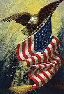 Pictures Now Collection: Eagle and American Flag Date: 1915