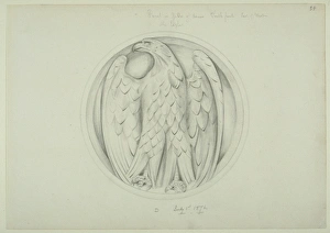 Eagle design Eagle design