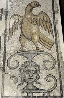 Images Dated 6th January 2014: Eagle and Medusa Head. Mosaic floor. Synagogue at Yafia, Low
