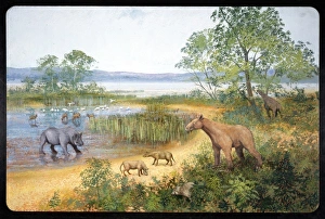 Early Miocene scene in Europe Early Miocene scene in Europe