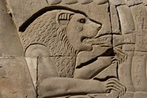 Images Dated 2nd December 2003: Egyptian Art. Temple of Kom Ombo. Lion eating a hand, Relief