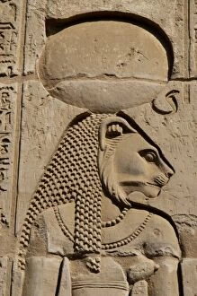 Crocodiles Gallery: Egyptian Art. Temple of Kom Ombo. Sekhmet, the lion-headed g