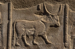 Egyptian hieroglyph shaped like a bull Egyptian hieroglyph shaped like a bull