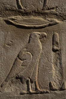 Egyptian hieroglyph shaped like an eagle Egyptian hieroglyph shaped like an eagle
