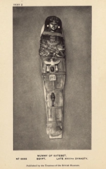Egyptian Mummy in the British Museum, London - Katebet Egyptian Mummy in the British Museum, London - Katebet
