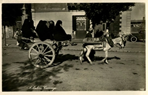 Egyptian Women travelling on a donkey cart - Cairo Egyptian Women travelling on a donkey cart - Cairo