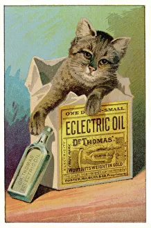 <b class=qtipBold><figcaption>Electric Oil Remedy/1890</figcaption></b><br>Advertisement for Dr Thomas's Electric Oil: 'the great internal and external remedy'<br><em>© Mary Evans Picture Library</em> Electric Oil Remedy/1890