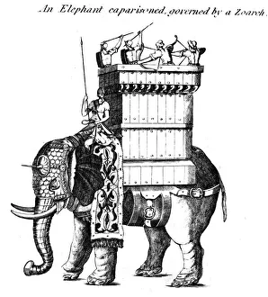 An Elephant caparisoned, governed by a Zoarch An Elephant caparisoned, governed by a Zoarch