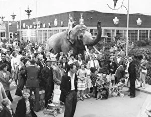 Holidaymakers Gallery: An elephant with holidaymakers at Butlins, Filey