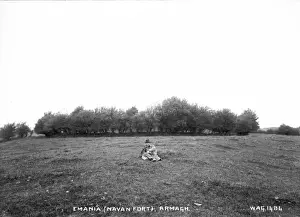 Prints of Emania (Navan Fort), Armagh - a view of a clump of trees with the photographer in the foreground. (Location: Northern Ireland: County Armagh: Armagh). Date: circa early 1900s Armagh Prints: Early 20th Century Print of Navan Fort, Armagh