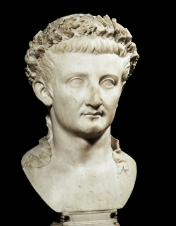 The Emperor Tiberius. 1st half 1st c. Roman art The Emperor Tiberius. 1st half 1st c. Roman art