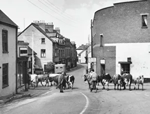 Street Gallery: England / Watchet