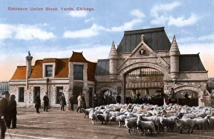 Entrance to Union Stock Yards, Chicago, Illinois, USA Entrance to Union Stock Yards, Chicago, Illinois, USA