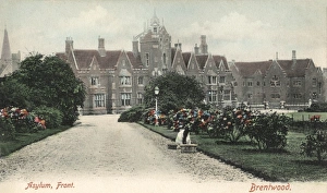 Essex Gallery: Brentwood Collection