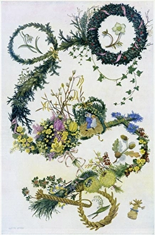 Evergreens and flowers by Pauline Baynes Evergreens and flowers by Pauline Baynes